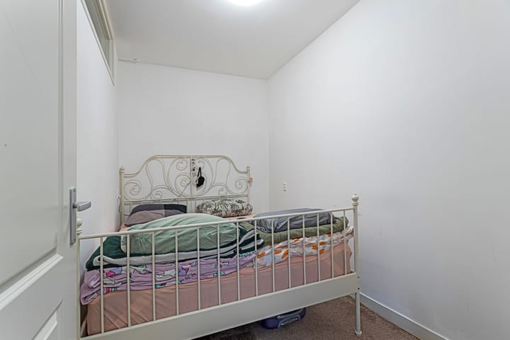 Foto 7 van Gouden Leeuw 206