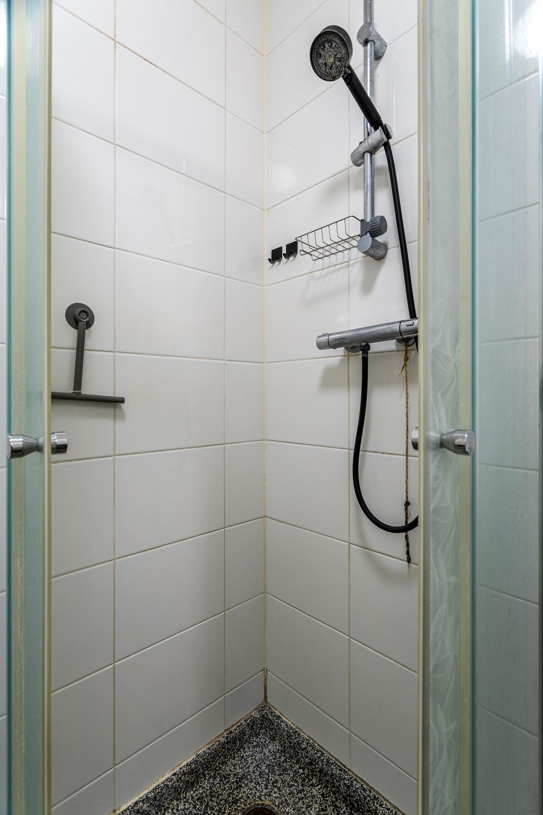 Photo 16 of Gouden Leeuw 206