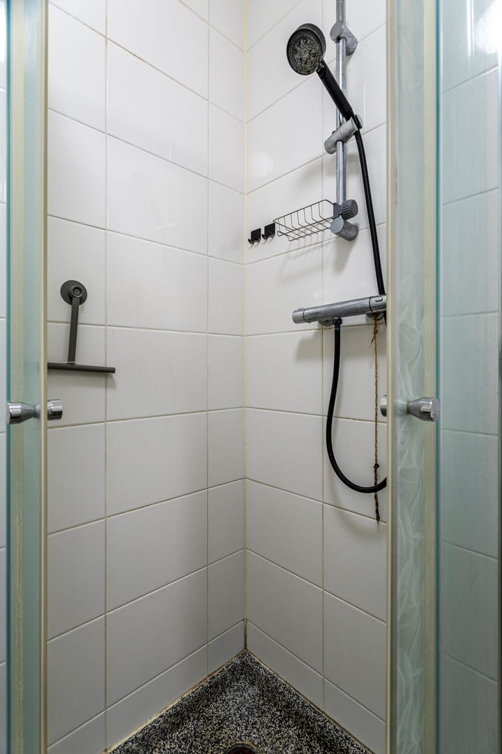 Foto 16 van Gouden Leeuw 206