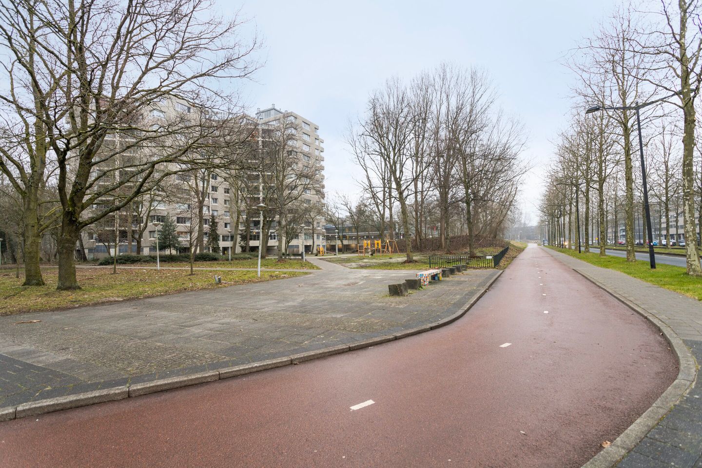 Photo 20 of Gouden Leeuw 206