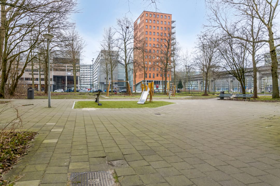 Photo 22 of Gouden Leeuw 206