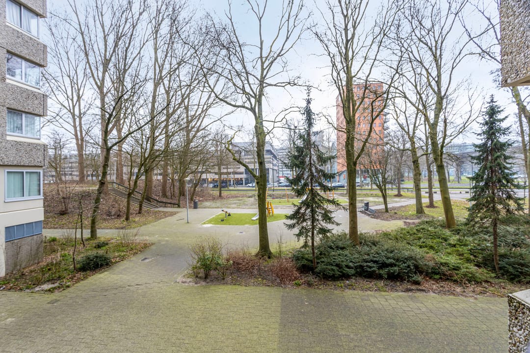 Photo 23 of Gouden Leeuw 206