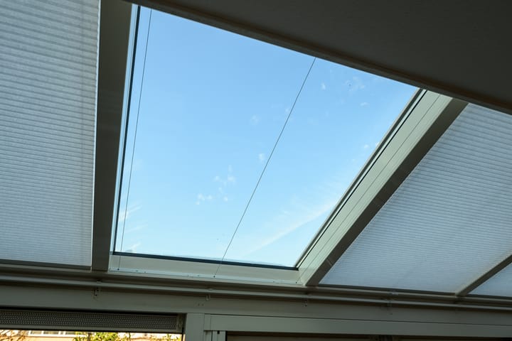 Foto 10 van Meerkoet 9