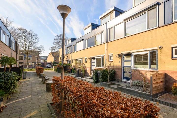 Foto 33 van Meerkoet 9