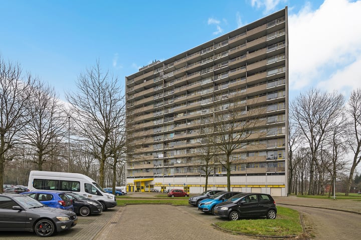 Bekijk foto van Tjaarda 402
