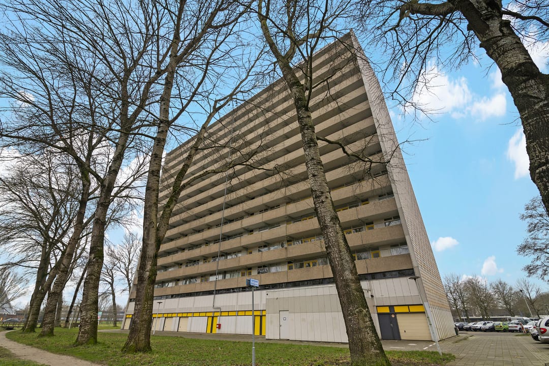 Foto 17 van Tjaarda 402