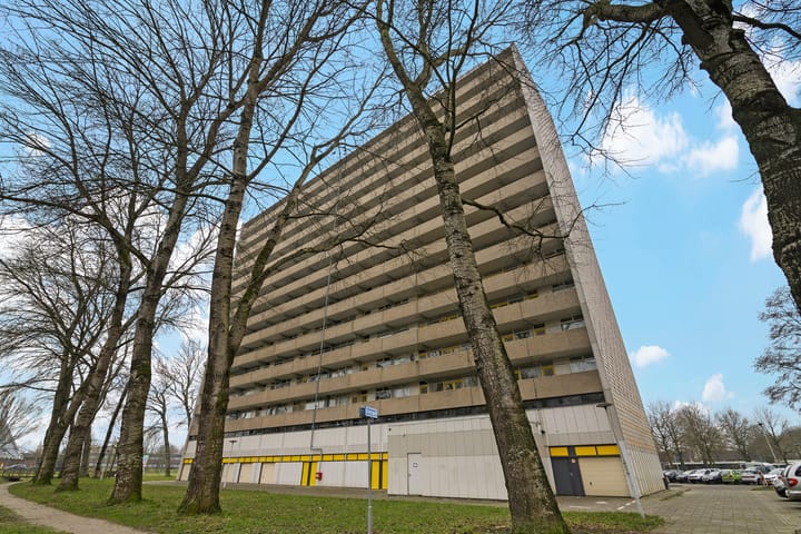 Foto 17 van Tjaarda 402