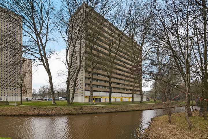 Foto 19 van Tjaarda 402