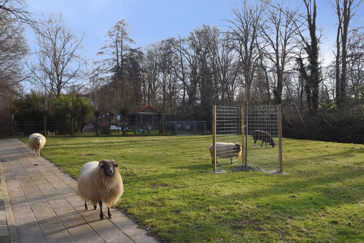 Foto 39 van Mient 249