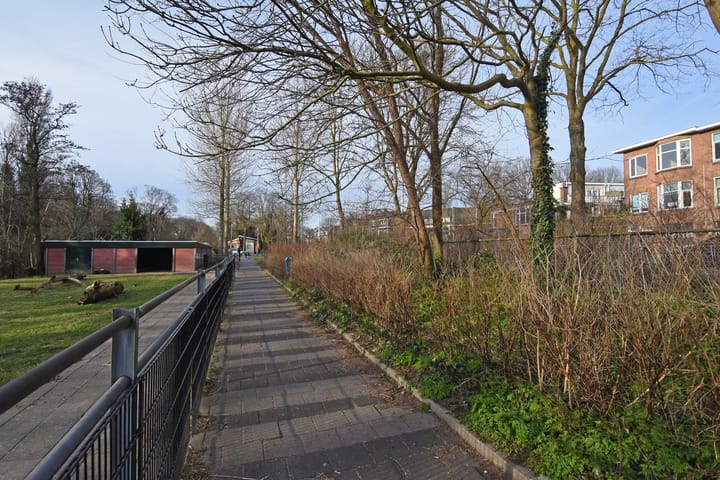 Foto 40 van Mient 249