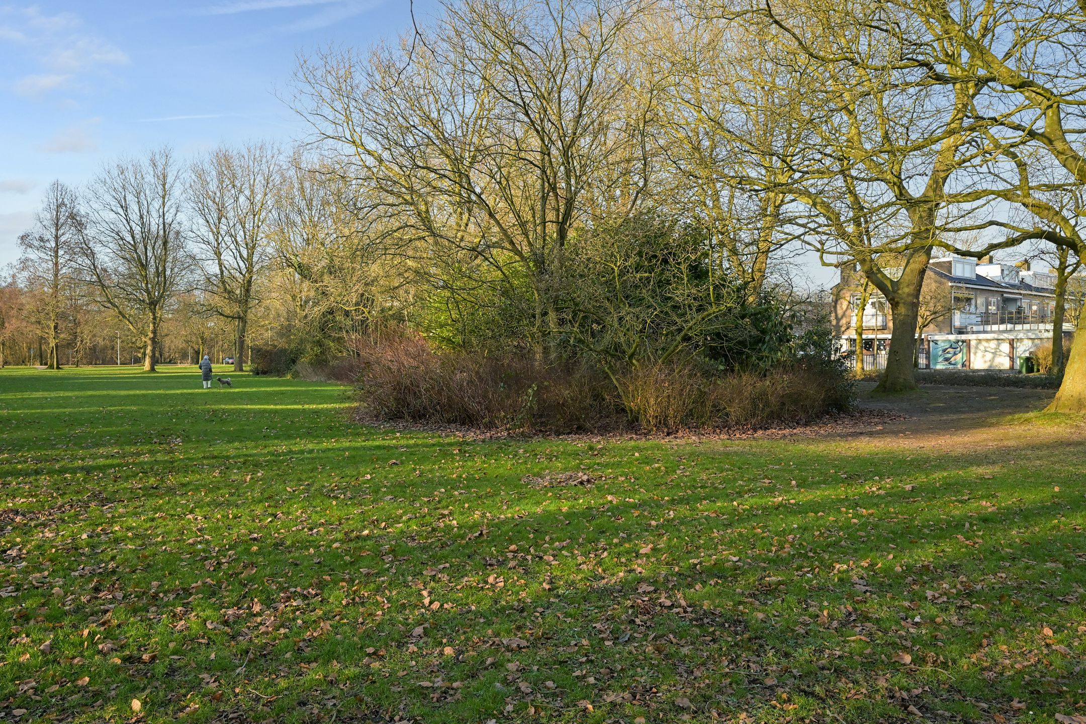 Foto 42 van Ter Weerlaan 6-A