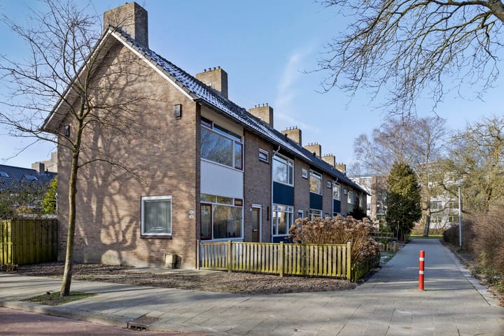 Foto 45 van Abeelstraat 28