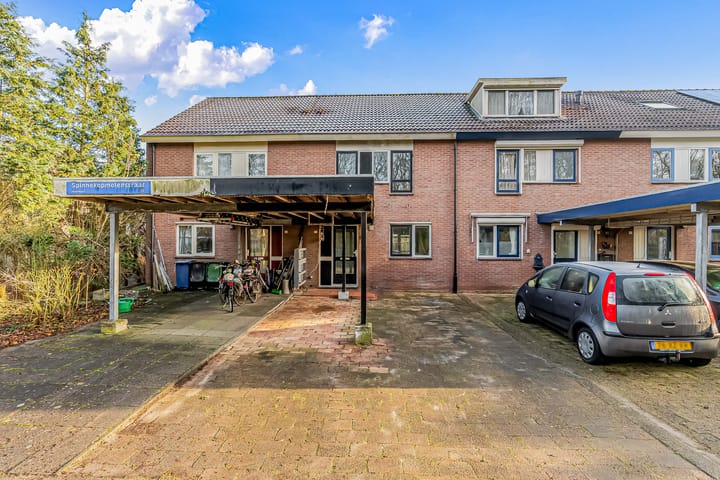 Foto 22 van Spinnekopmolenstraat 50