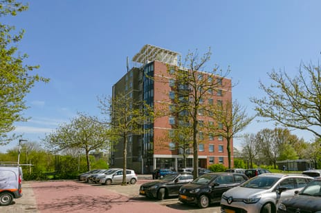 De vink - Zuster Meiboomstraat main image