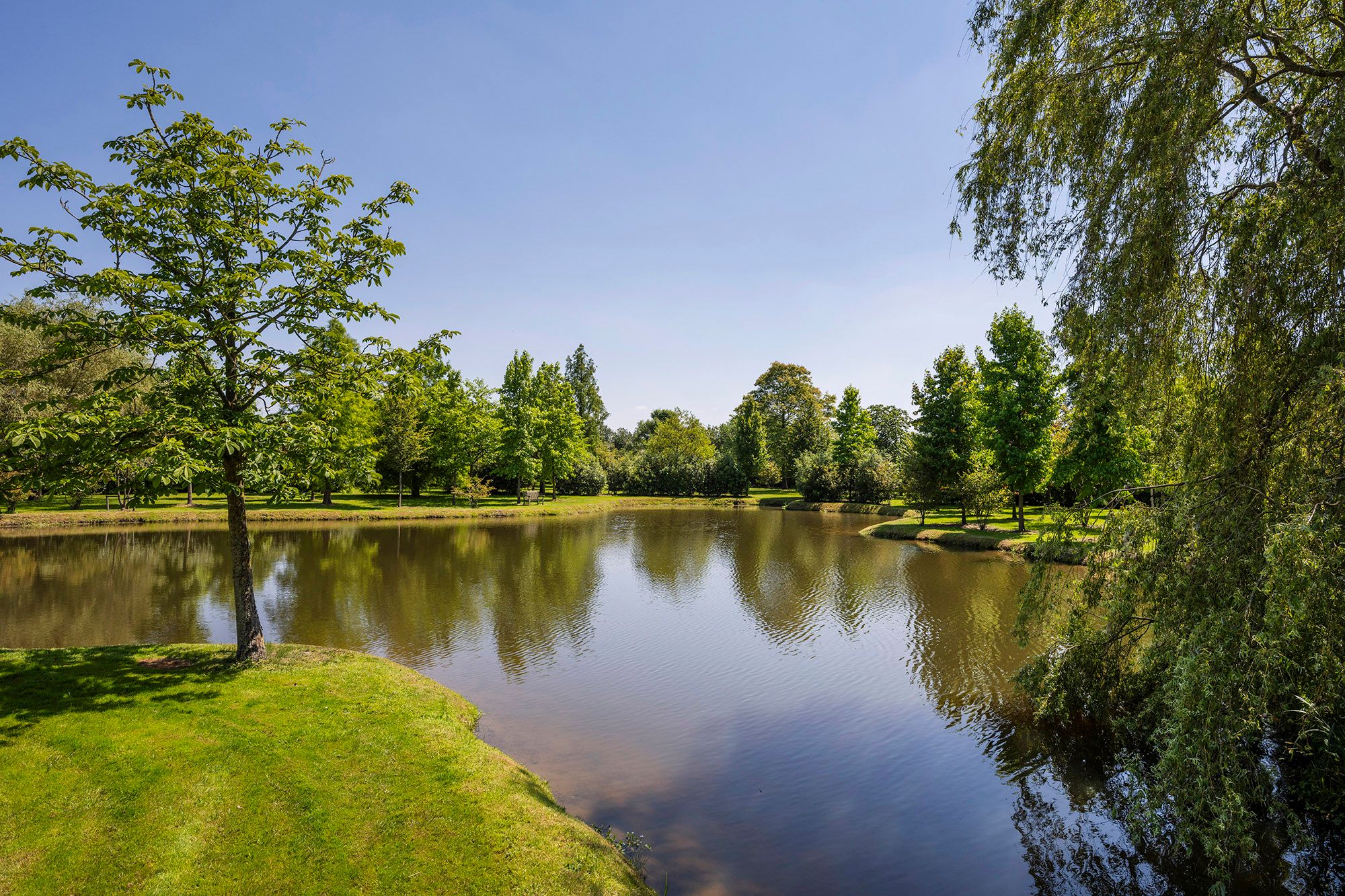 Foto 60 van Rijksstraatweg 177