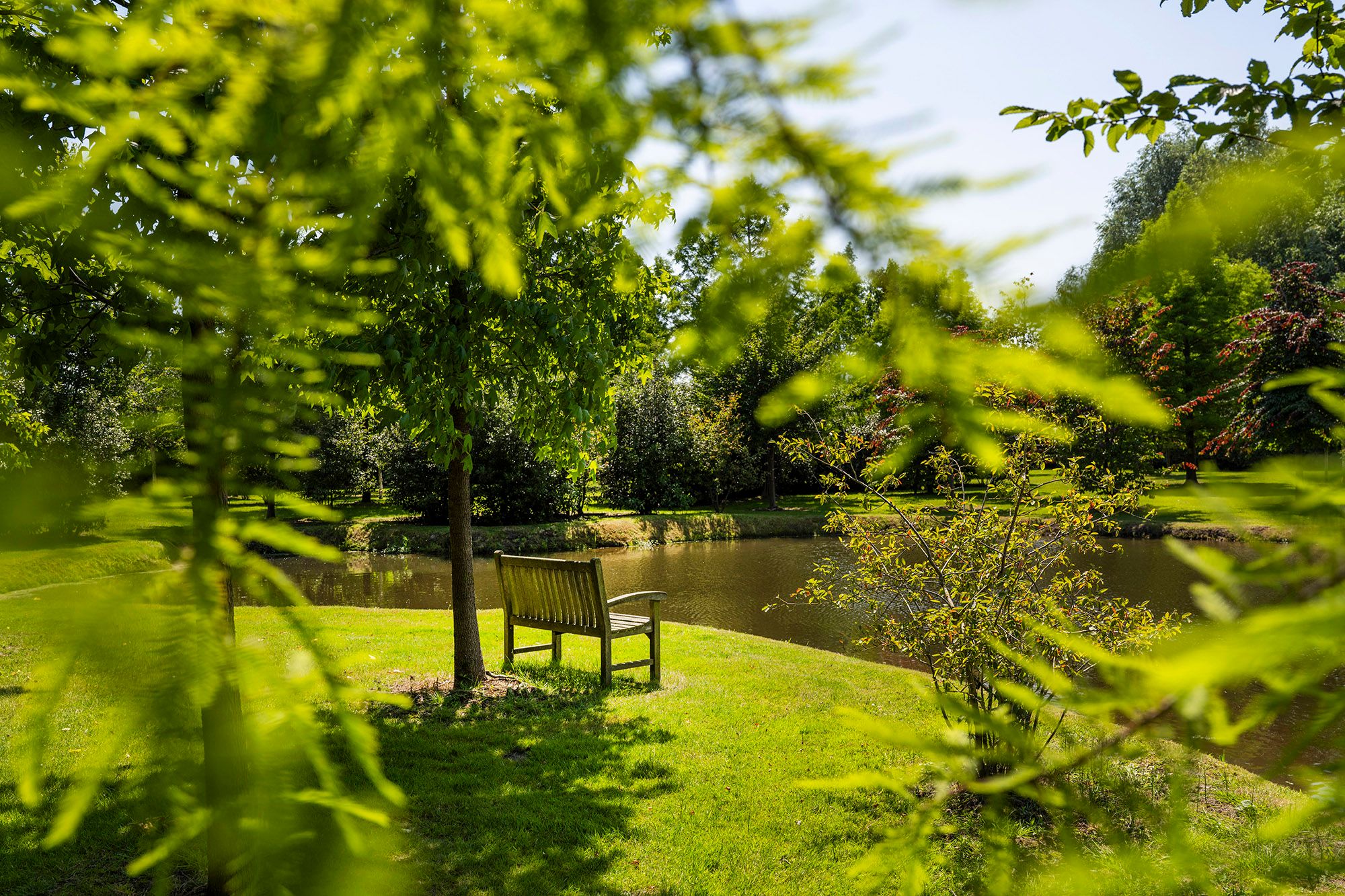 Foto 63 van Rijksstraatweg 177