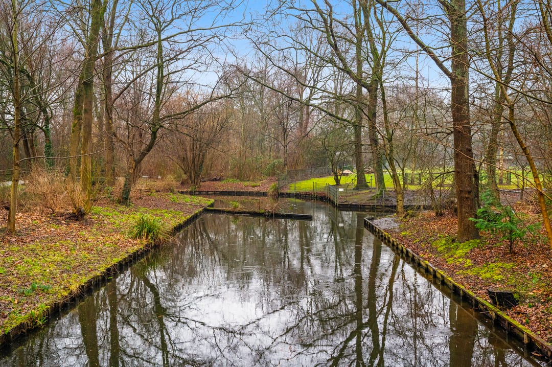 Foto 32 van Santhorst 133