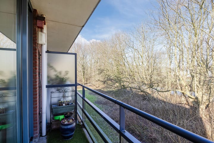 Foto 5 van Bosweg 13