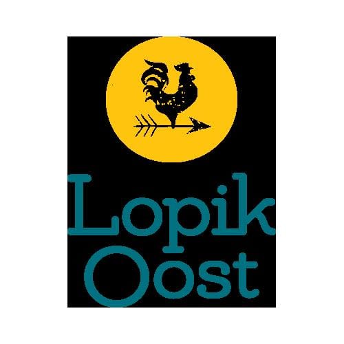 Foto 10 van Lopik Oost fase 3