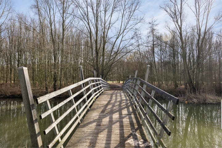 Foto 46 van Emily Brontësingel 67