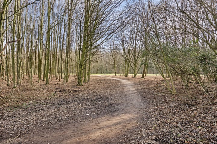 Foto 47 van Emily Brontësingel 67