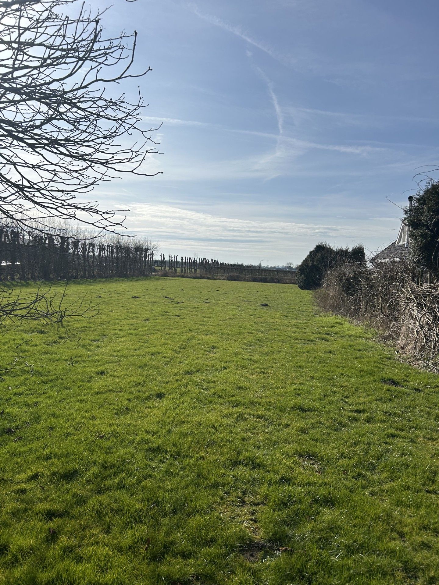 Foto 3 van Waaijakkers