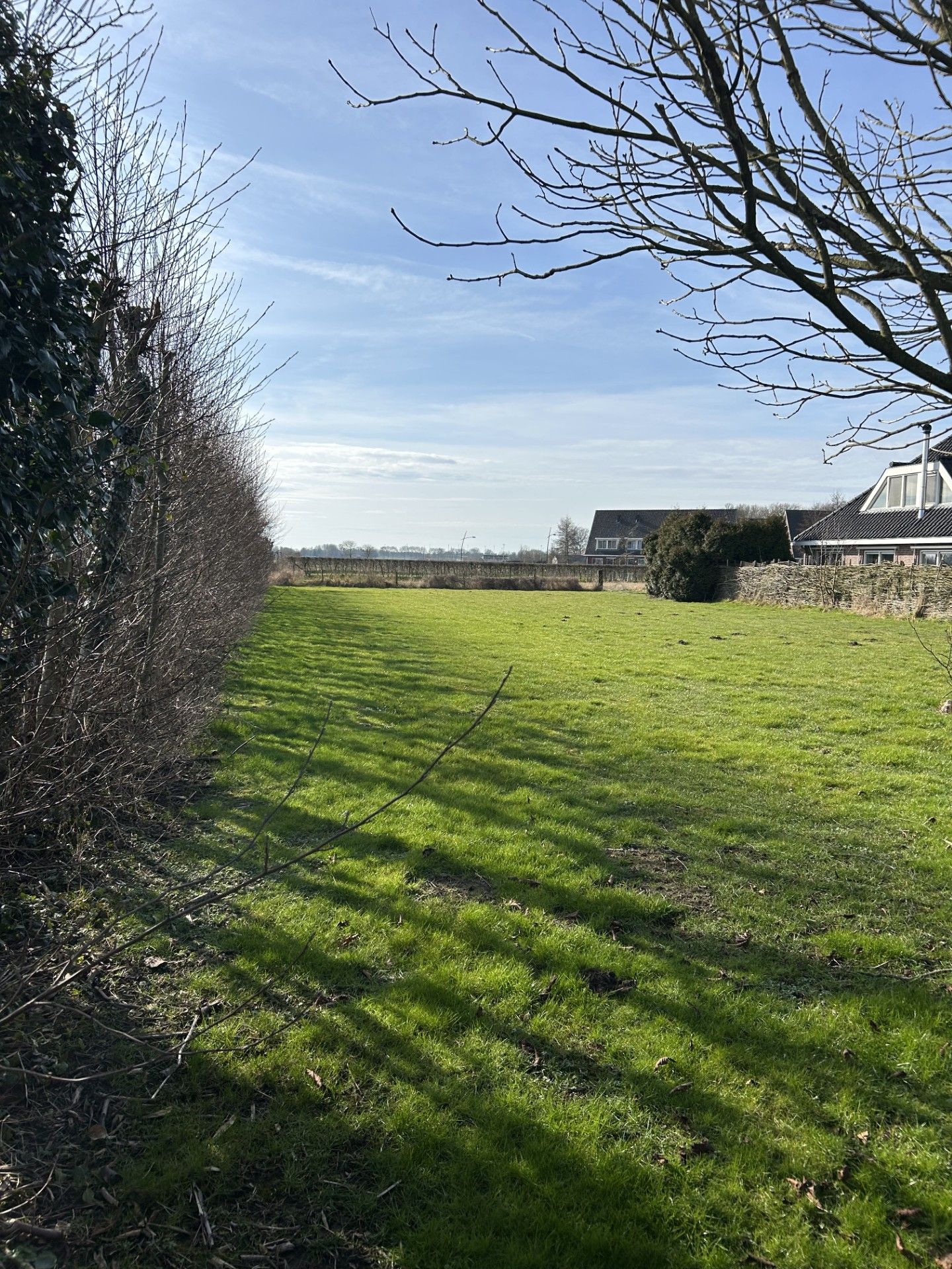 Foto 4 van Waaijakkers