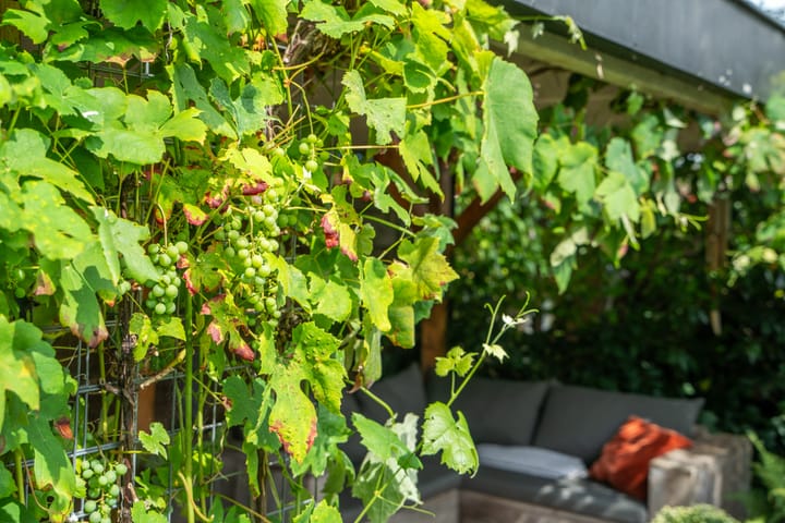 Foto 55 van Ringweg 246