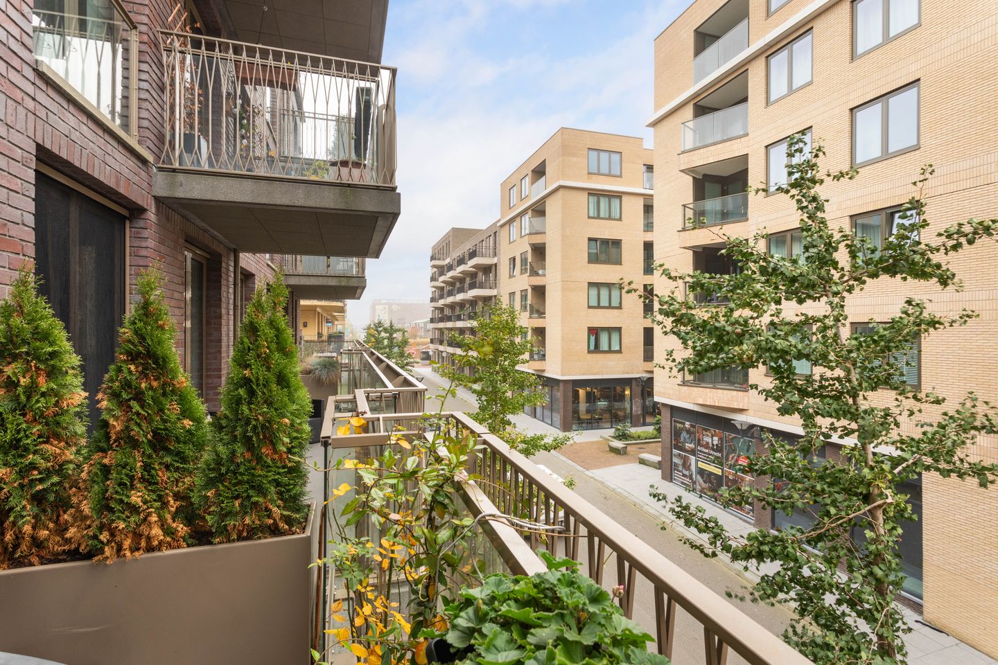 Foto 35 van Vaduzdijk 3