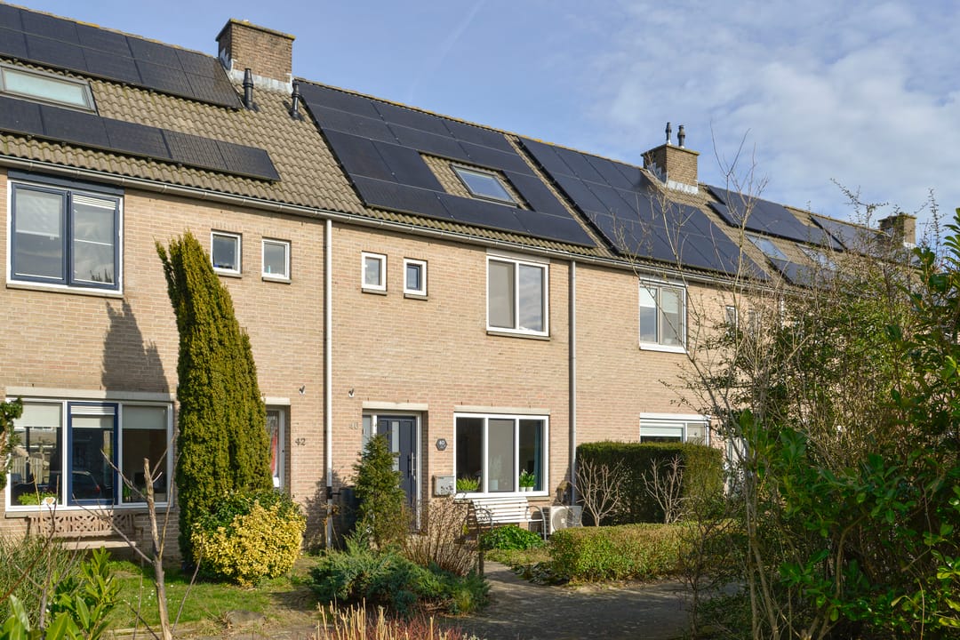 Foto 1 van Eierlanden 40