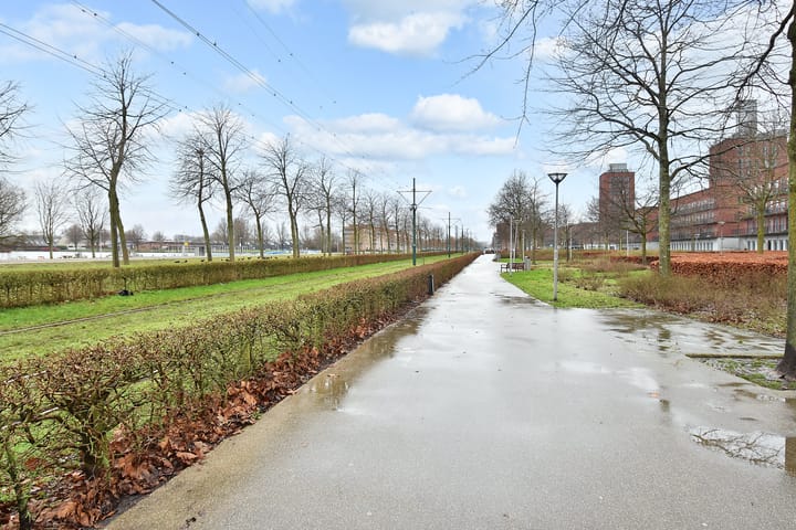 Foto 41 van Steentijdsingel 141