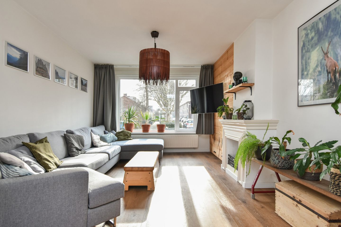 Foto 19 van Adama van Scheltemastraat 25