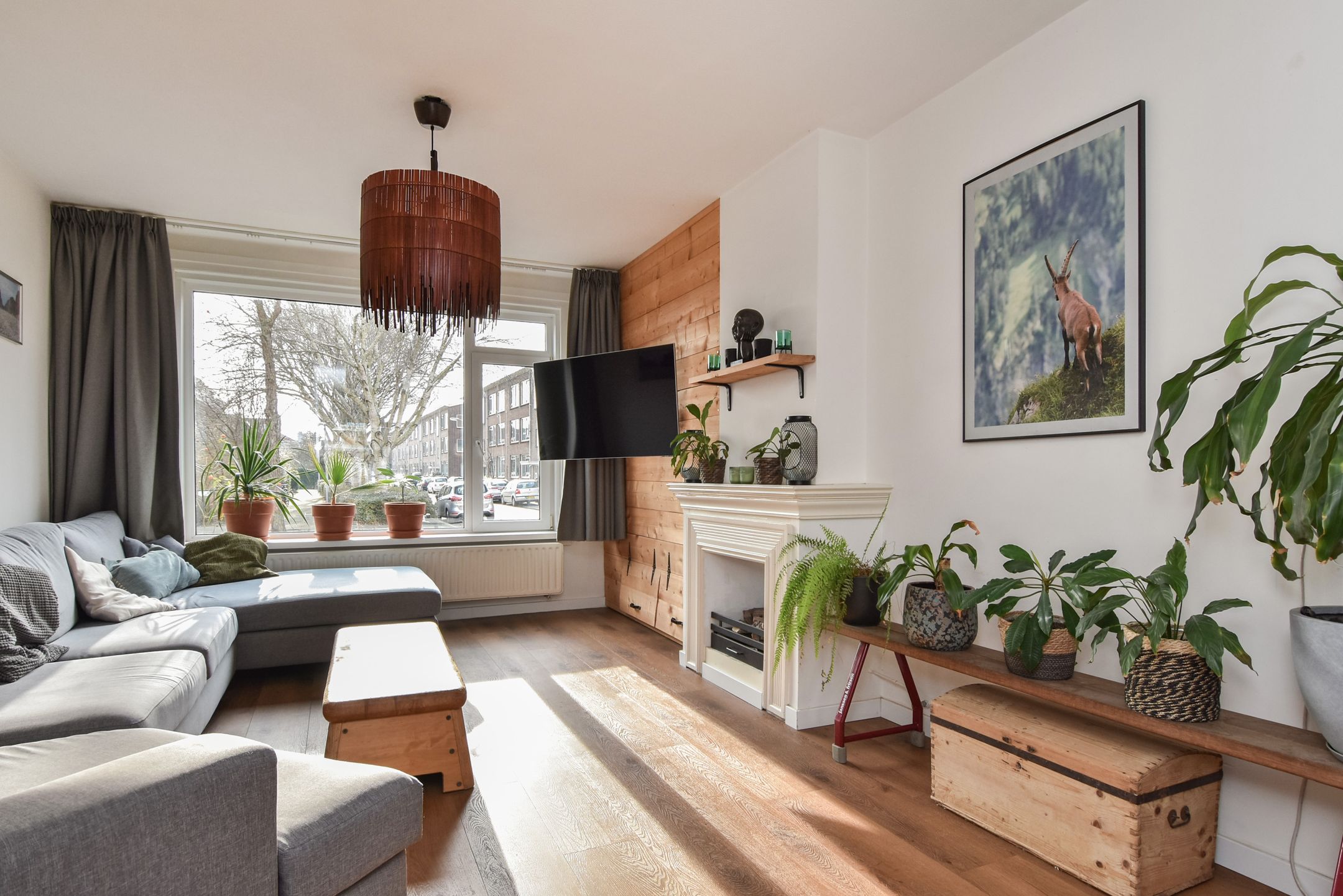 Foto 21 van Adama van Scheltemastraat 25