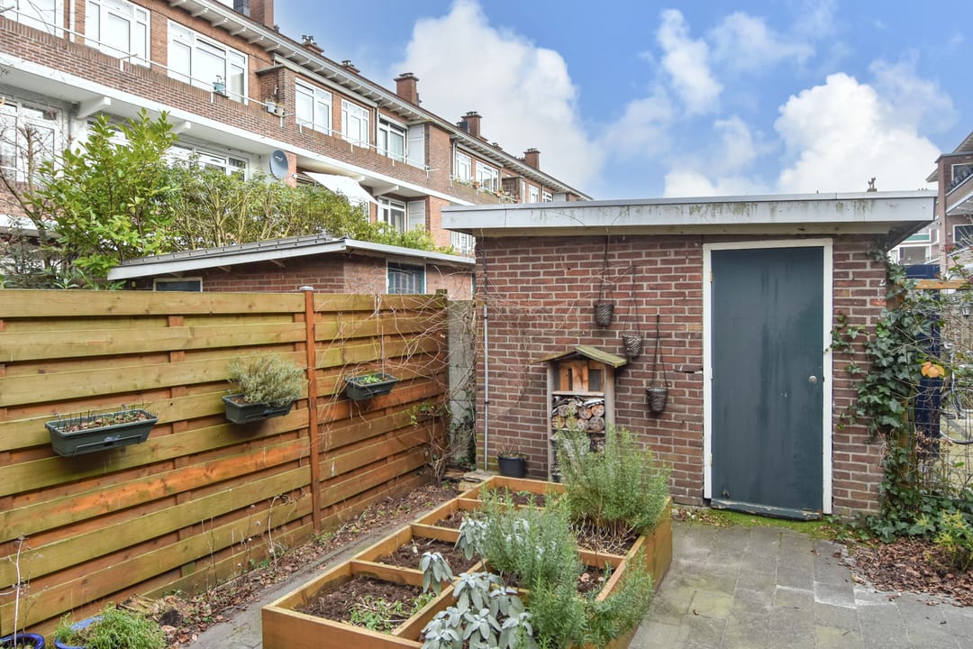 Foto 41 van Adama van Scheltemastraat 25