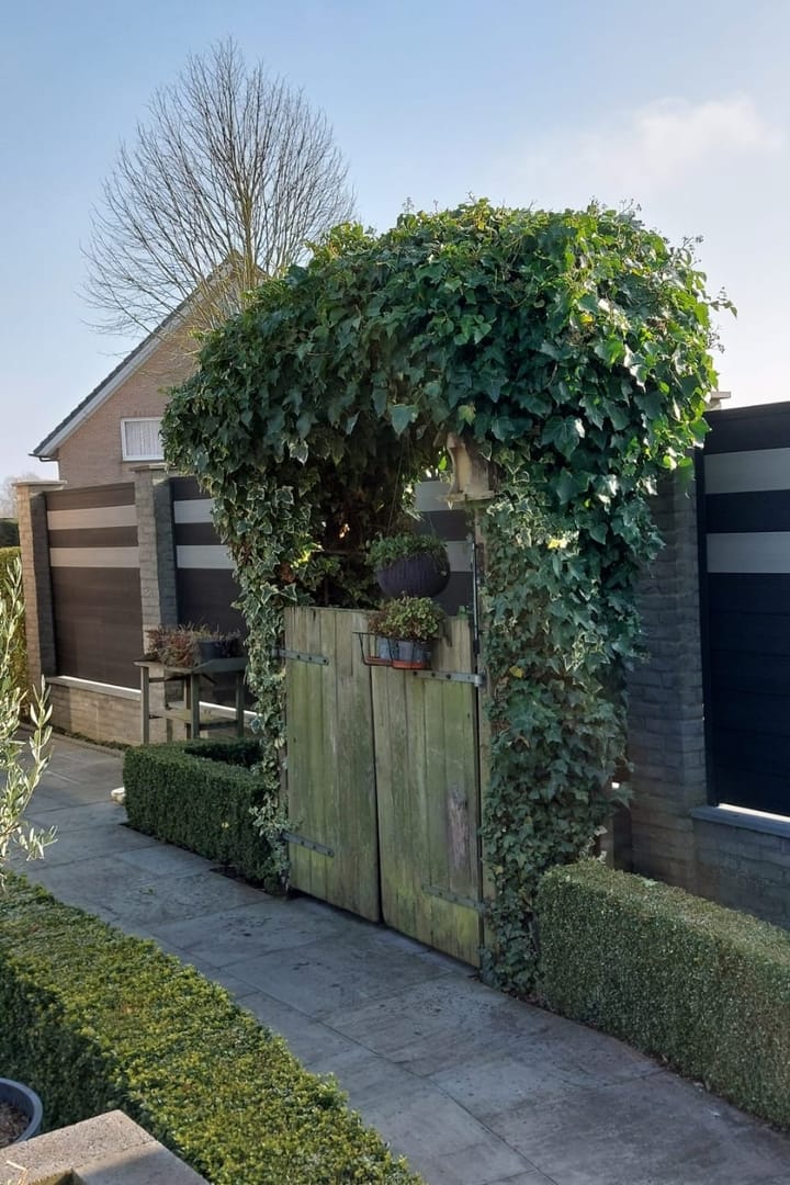 Foto 42 van Zuidpoortstraat 20