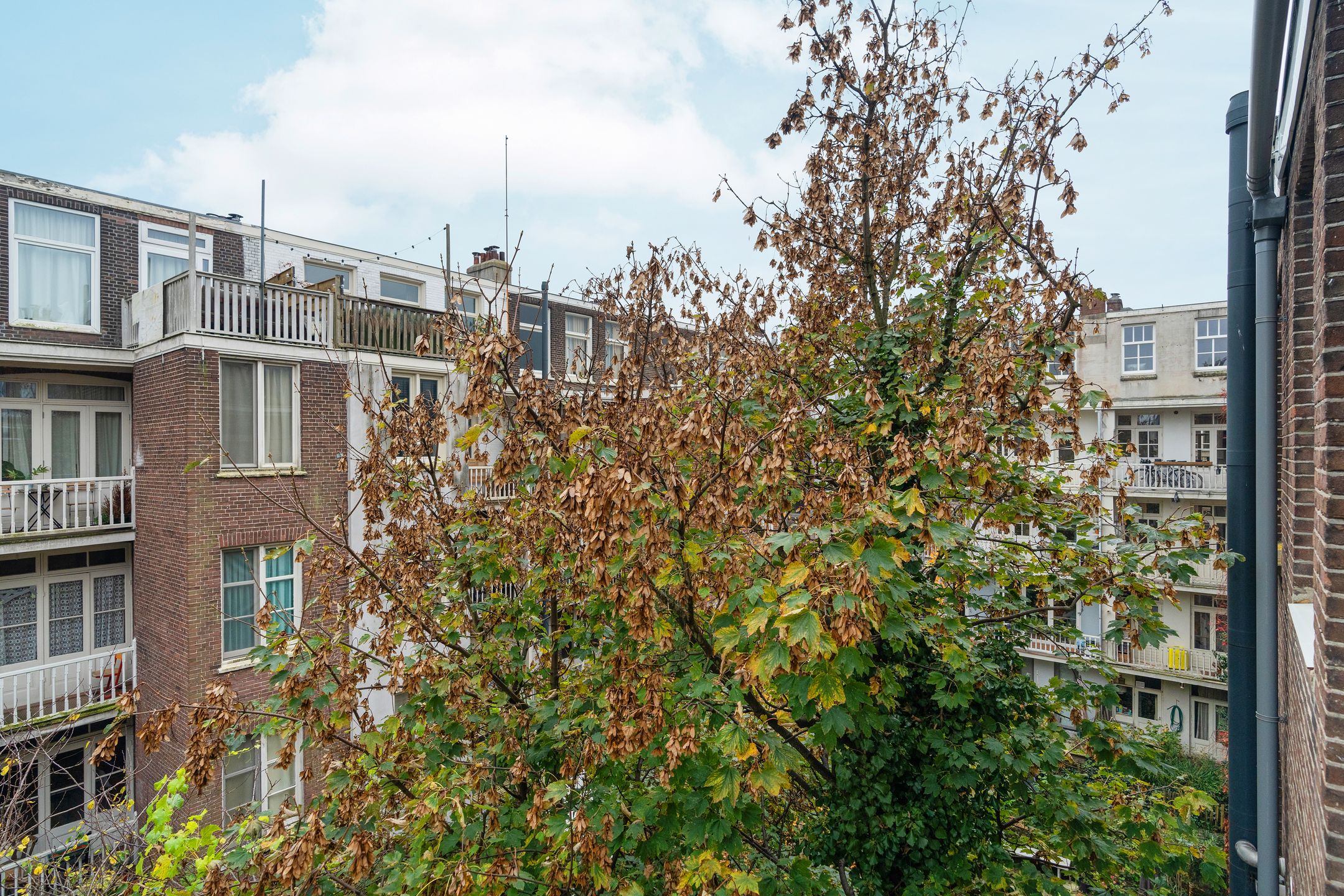 Foto 9 van Rustenburgerstraat 157-3