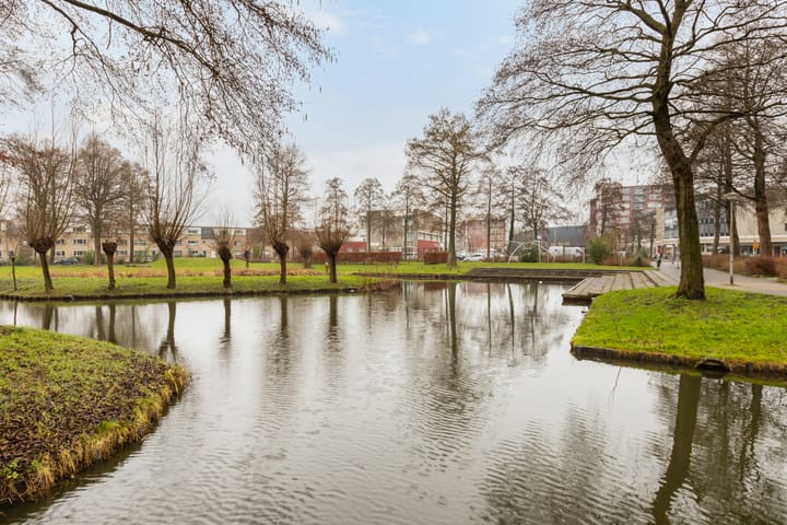 Photo 35 of Pelmolenerf 20