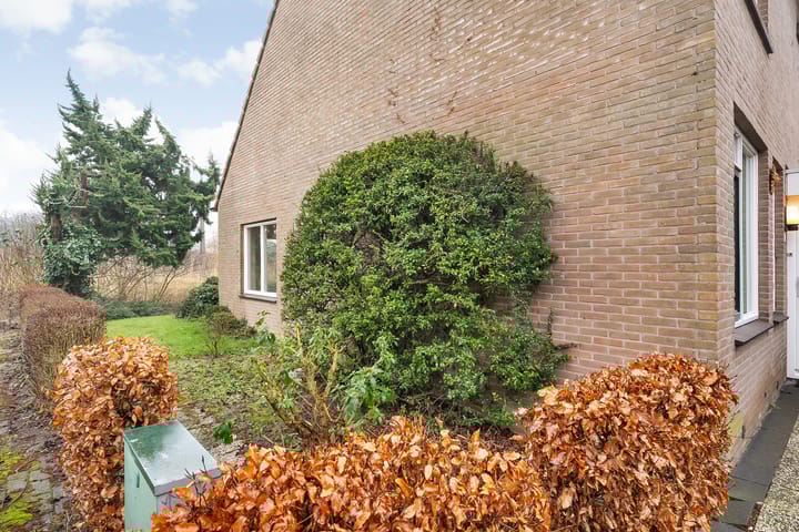 Foto 25 van Mackayware 1