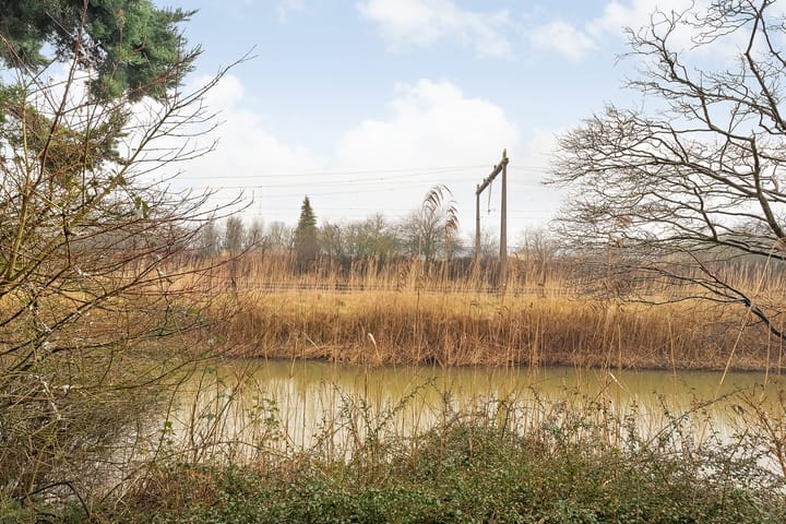 Foto 31 van Mackayware 1