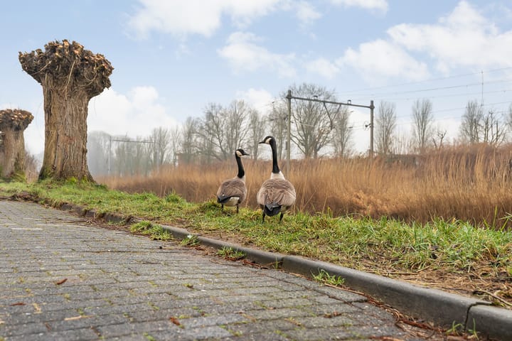 Foto 32 van Mackayware 1