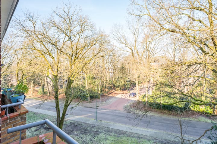 Foto 24 van Plesmanstraat 331