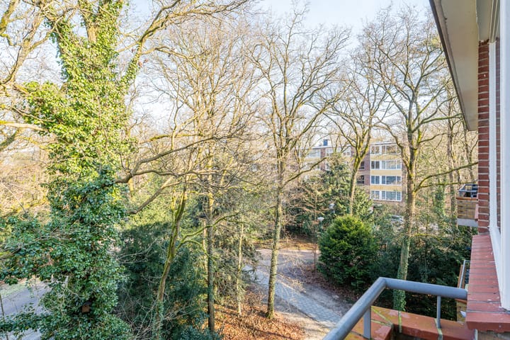 Foto 25 van Plesmanstraat 331