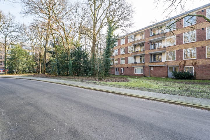 Foto 26 van Plesmanstraat 331