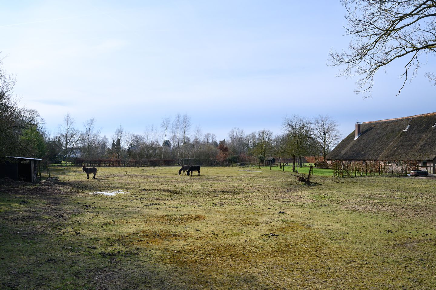 Foto 50 van Heemstedeweg 3