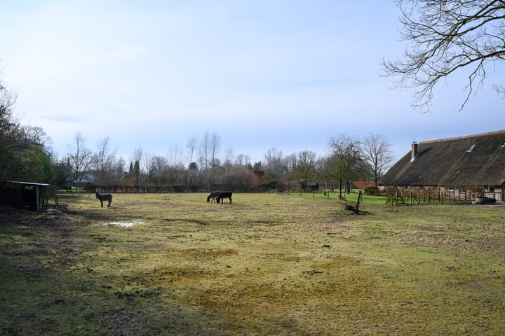 Foto 50 van Heemstedeweg 3