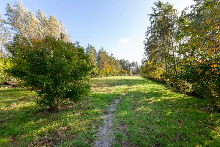 Foto 47 van Weegbree 6