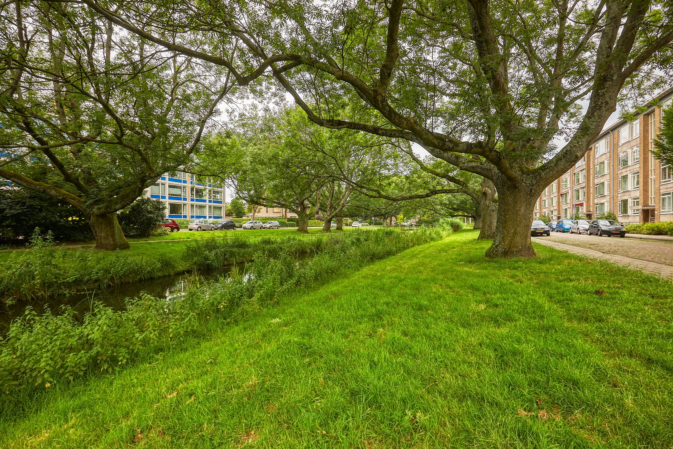 Foto 30 van Jacob van den Eyndestraat 19