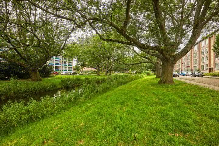 Foto 30 van Jacob van den Eyndestraat 19