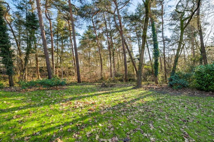 Foto 29 van Valkenlaan 34