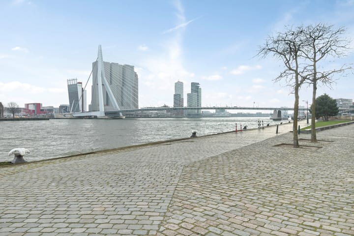 Foto 21 van Boompjes 521